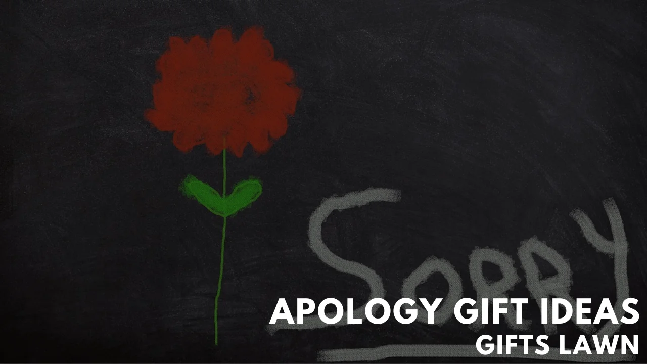 7 Best Apology Gift Ideas That Makes People Happy